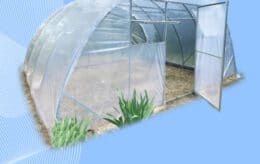 Termousadochnaya_upakovka