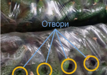 Великі мішки з огірками з отворами для циркуляції повітря